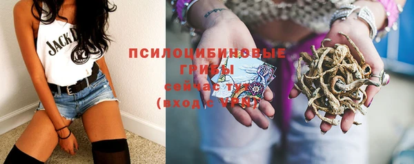 марихуана Новозыбков