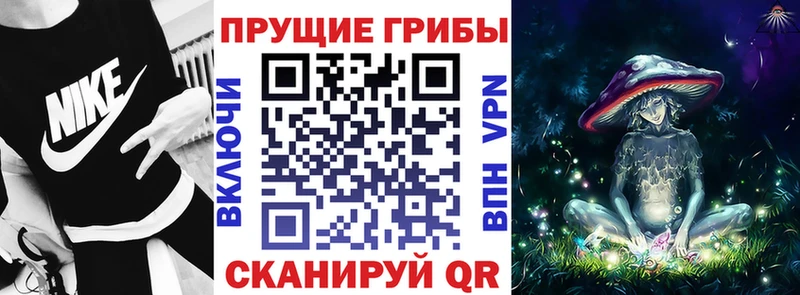 магазин  наркотиков  Белый  Галлюциногенные грибы ЛСД 